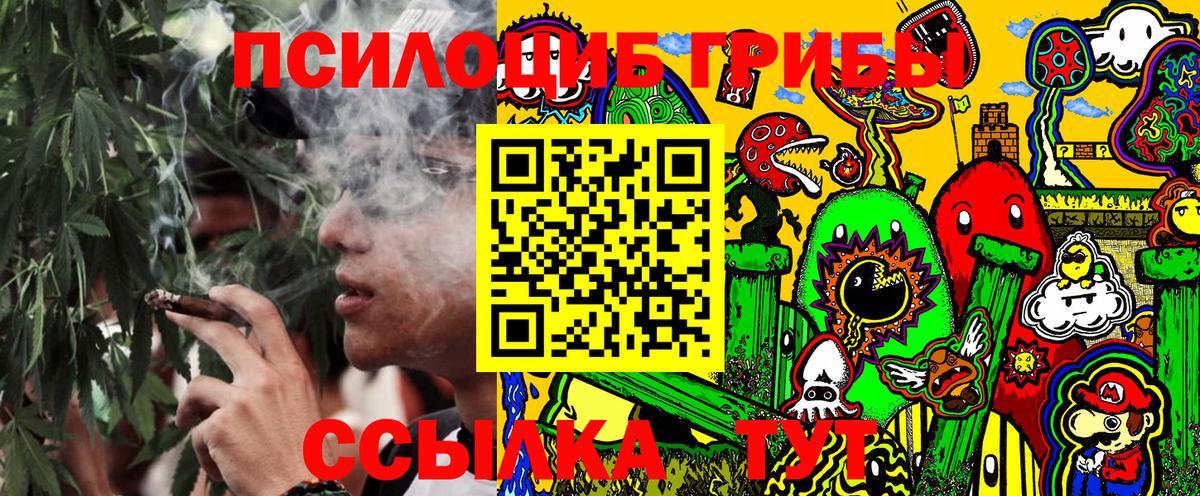 Галлюциногенные грибы прущие грибы  Вход с VPN  Новоалександровск 