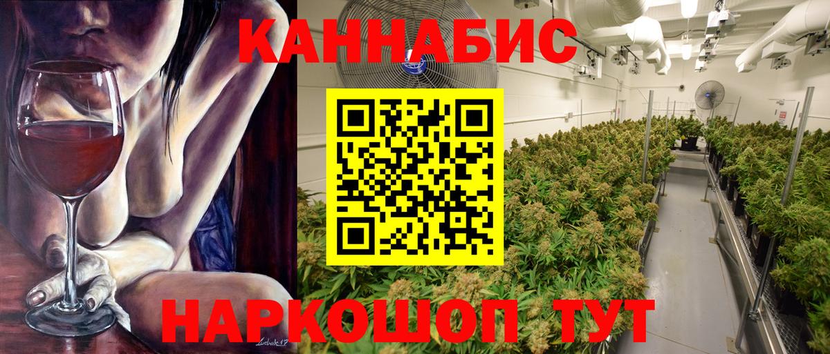 Шишки марихуана план  Бошки марихуана OG Kush  Новоалександровск  Вход с VPN  Шишки марихуана OG Kush 